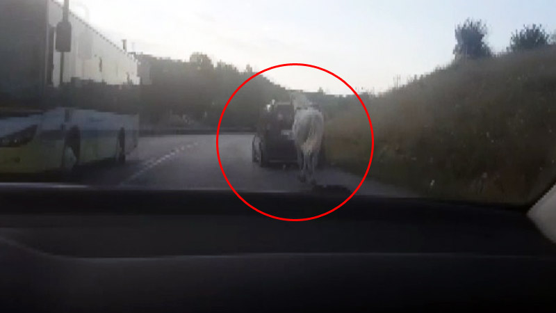 Bursa’da tepki çeken görüntü!