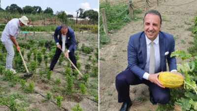 Kent ile kırsalı buluşturan baş döndürücü bostan