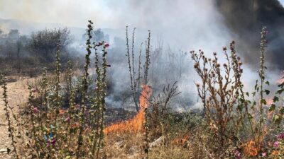Bursa’da anız yangınları tehlike saçıyor