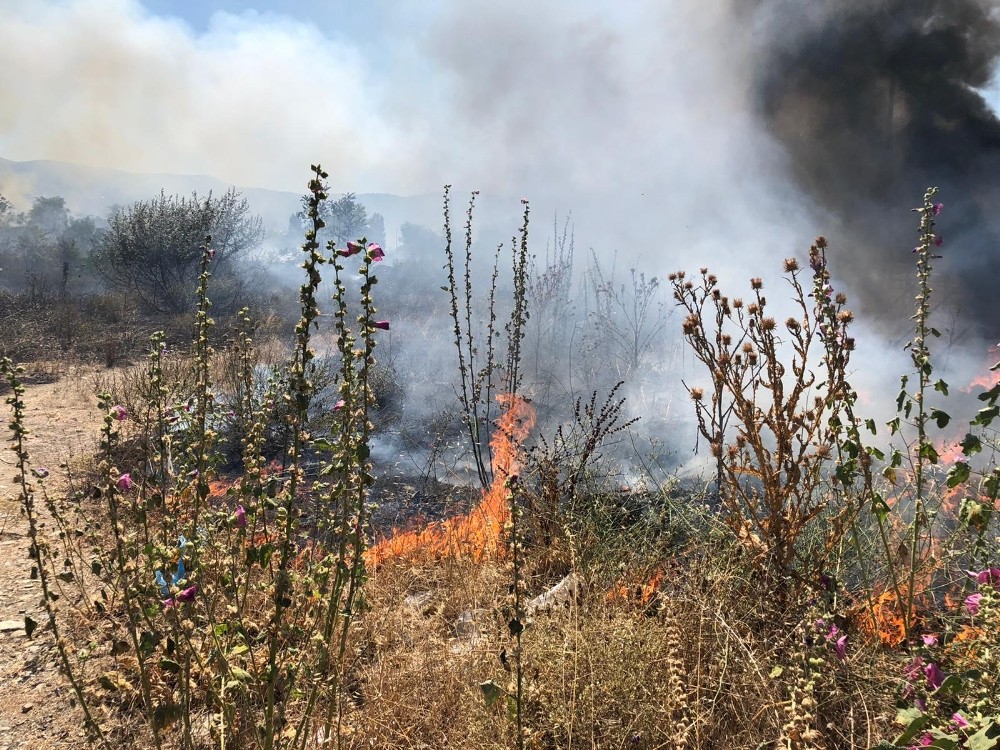 Bursa’da anız yangınları tehlike saçıyor
