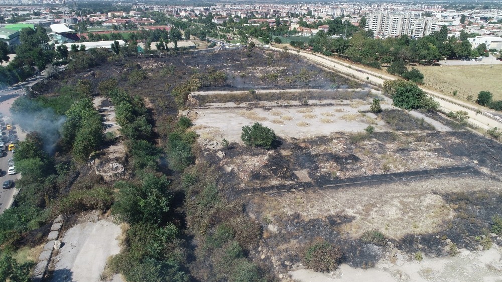 Bursa’da arazi yangını kontrol altına alındı