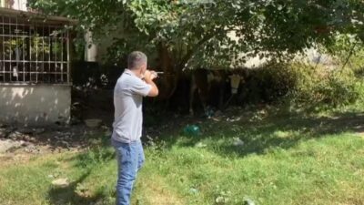 Bursa’da kaçan boğa operasyonu
