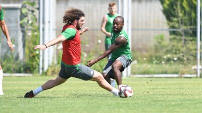 Timsah taktik çalıştı