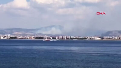 Çanakkale’de orman yangını