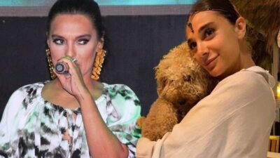 Demet Akalın’a ‘Pınar Gültekin’ tepkisi