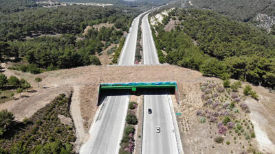 Bursa’dan çıkan proje hayvanlara can oldu!