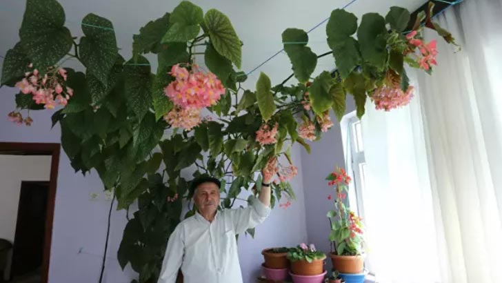 Bursa’da eşinin hatırasını yaşatmak için bakın ne yaptı? ‘Sevgimi bu şekilde sürdürüyorum’