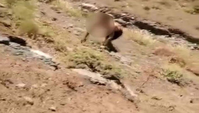 PKK’lı teröristin komandolara böyle teslim oldu