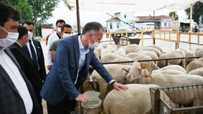 İnegöl’de hayvan pazarında hareketlilik başladı