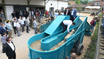 İnegöl’de küçükbaş hayvan yıkama havuzu hizmete girdi