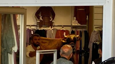 Kaçan boğa girdiği giyim mağazasını bir birine kattı
