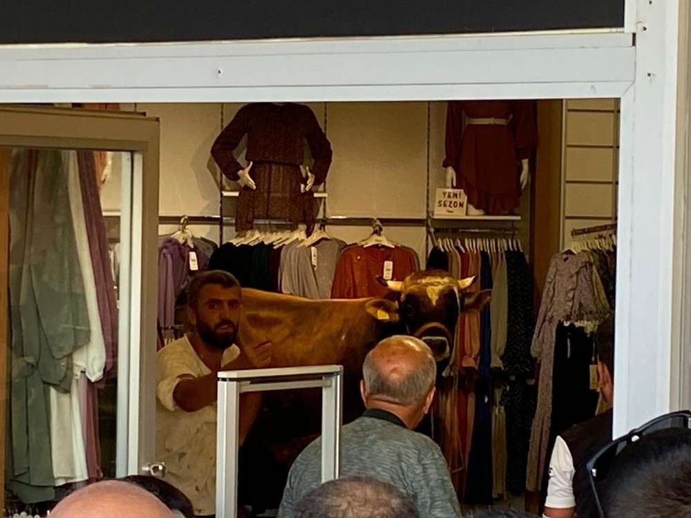 Kaçan boğa girdiği giyim mağazasını bir birine kattı Kaçan boğa girdiği giyim mağazasını bir birine kattı