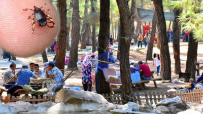 Piknikçilere uyarı! ‘Sessiz katil’e dikkat