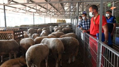 Kurban kesim yerlerine sıkı denetim