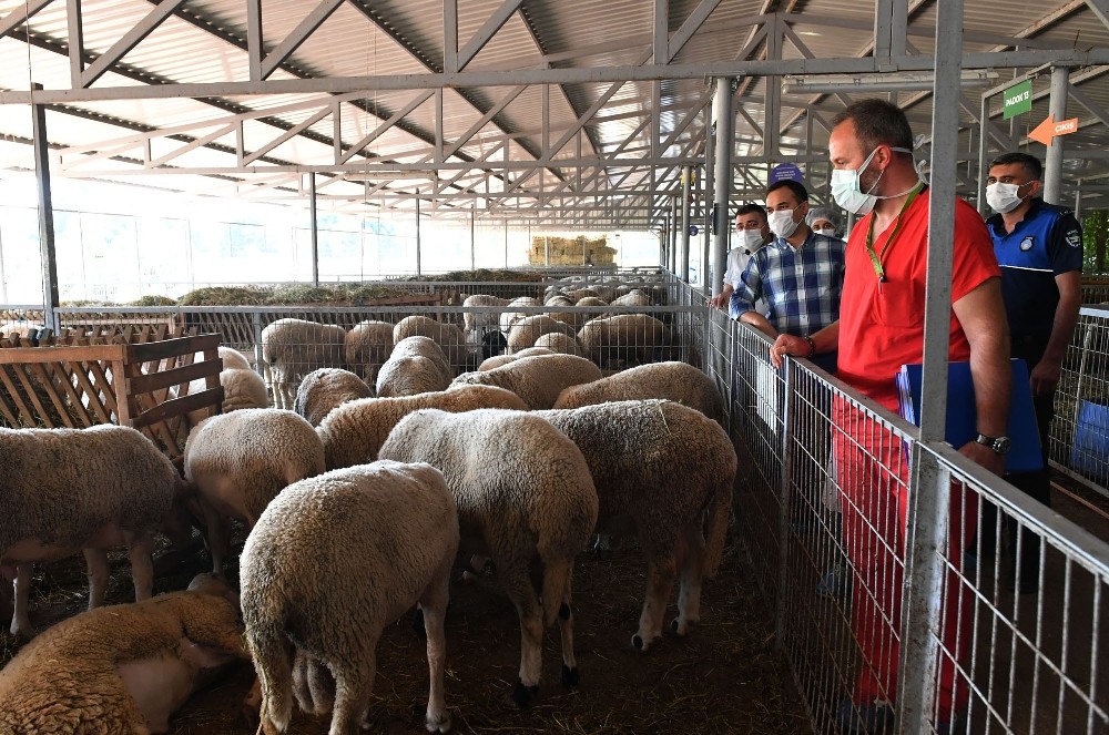 Kurban kesim yerlerine sıkı denetim Kurban kesim yerlerine sıkı denetim