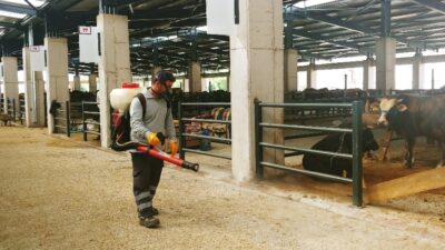 Kurban pazarlarında sinekle mücadele