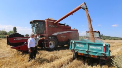 Nilüfer’de hasat zamanı