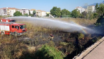 Sigara izmariti yangın çıkardı, Paşa Çiftliği tehlike atlattı