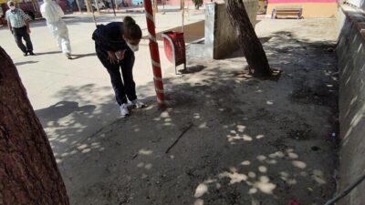 Gelen giden baktı! Koronavirüs taramasında yılan