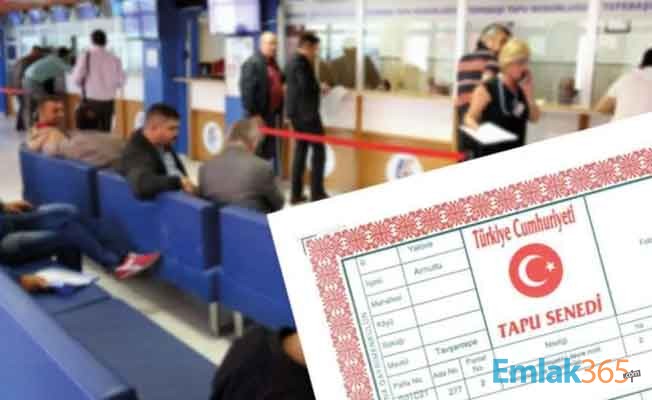 Tapu dairelerindeki ağır işleyişe vatandaş isyan ediyor Tapu dairelerindeki ağır işleyişe vatandaş isyan ediyor