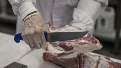 Kurban kesiminde kasaplara ‘koronavirüs’ uyarısı