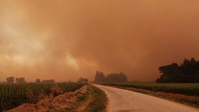Gelibolu yarımadasında orman yangını