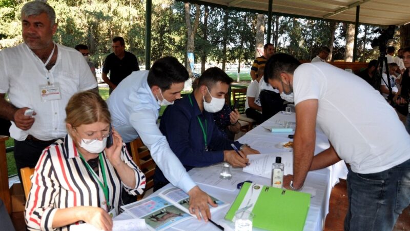 Yarış tayları ev fiyatına alıcı buldu Sultansuyu Tarım İşletmesinde yetiştirilen ünlü Arap yarış tayları, Bursa’nın Karacabey