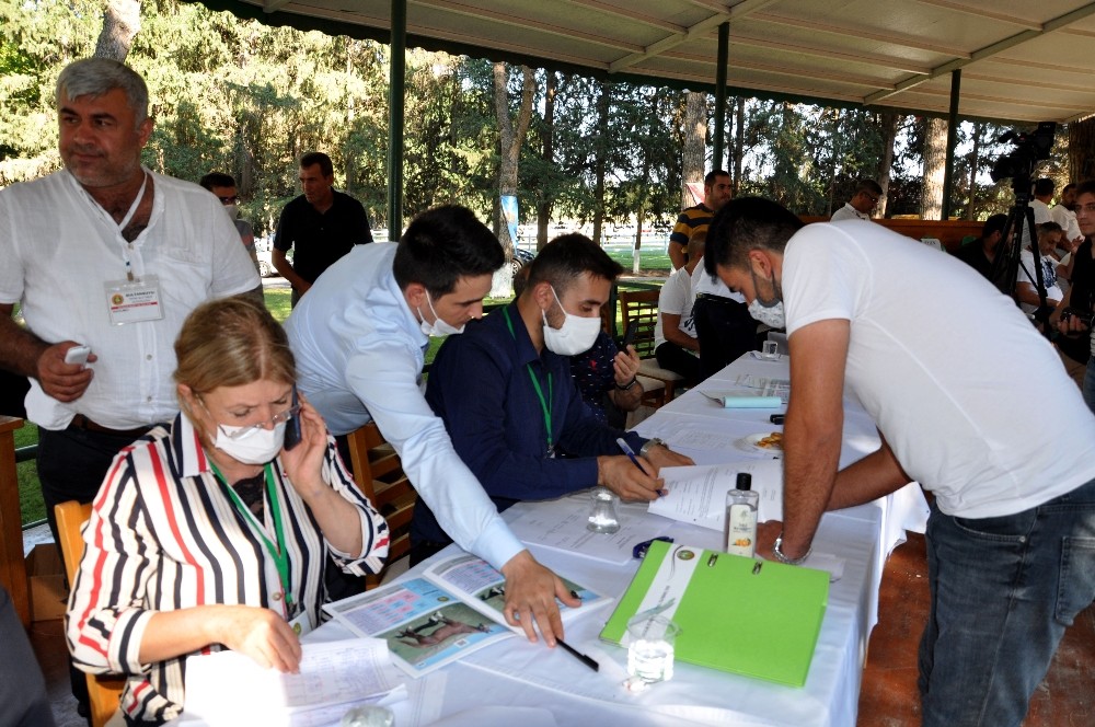 Yarış tayları ev fiyatına alıcı buldu Yarış tayları ev fiyatına alıcı buldu