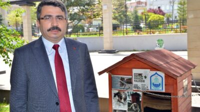 Yıldırım Belediyesi sokak hayvanlarına kucak açıyor
