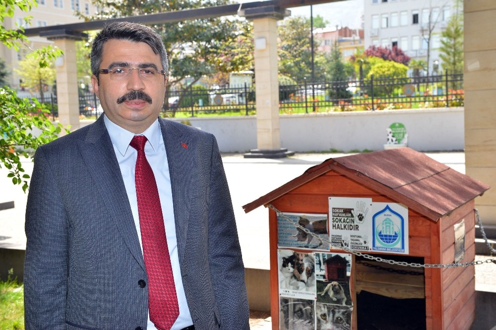 Yıldırım Belediyesi sokak hayvanlarına kucak açıyor