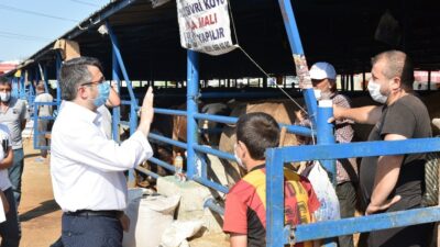 Yıldırım, Kurban Bayramı’na hazır