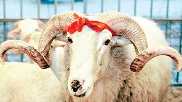 Esnaftan bıçak uyarısı