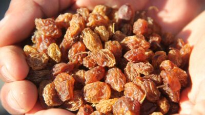 Günde 1 avuç yerseniz bakın ne faydası varmış!