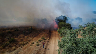 Bursa’da makilik alanda çıkan yangın ormana sıçradı