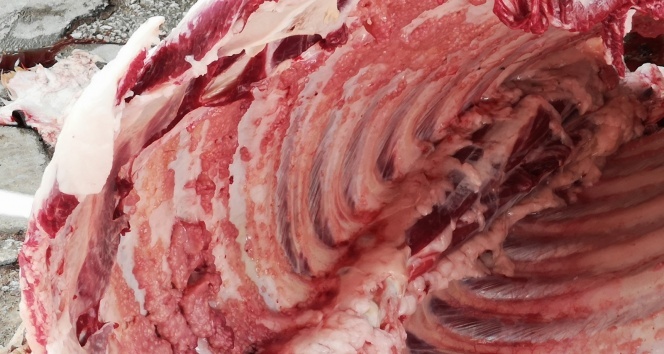 Kurbanlık aldığı hayvan ‘tüberkülozlu’ çıktı Kurbanlık aldığı hayvan ‘tüberkülozlu’ çıktı