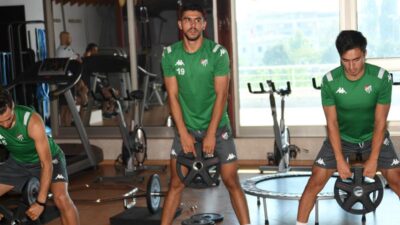 Timsah yoğun mesaide