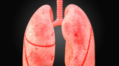 Haftada üç kez tüketin! Ciğerleri baştan sona yeniliyor…