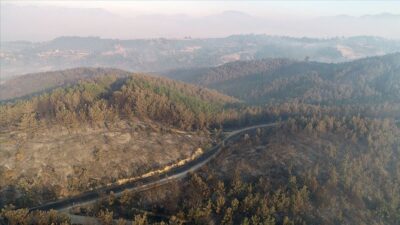 Bakan’dan Adana’daki orman yangınıyla ilgili açıklama