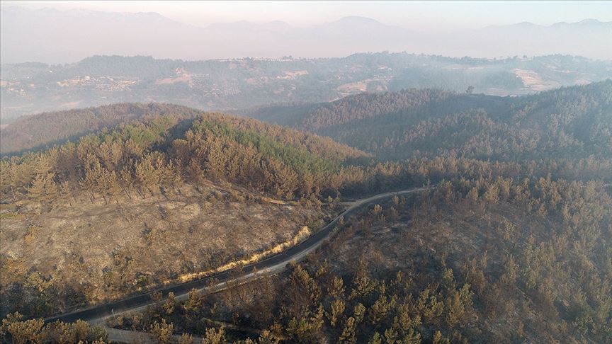 Bakan’dan Adana’daki orman yangınıyla ilgili açıklama