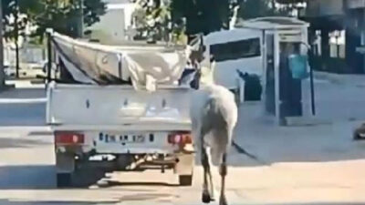 Bursa’da tepki çeken görüntü