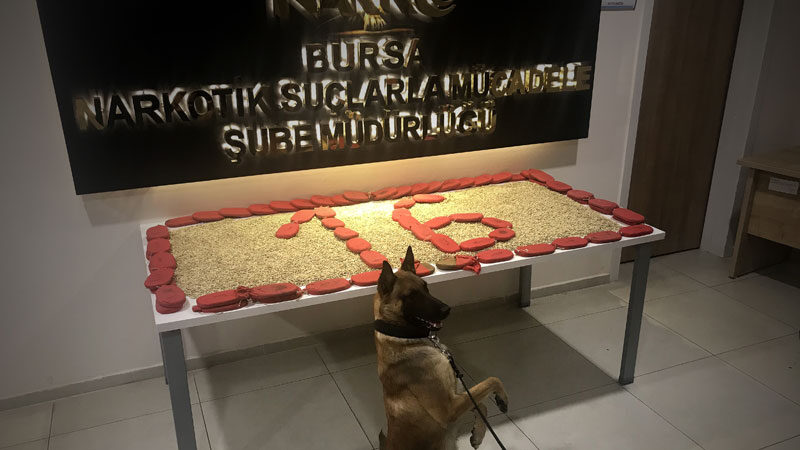 Bursa'da yaklaşık 100 bin uyuşturucu hap ve 12 kilogram esrar