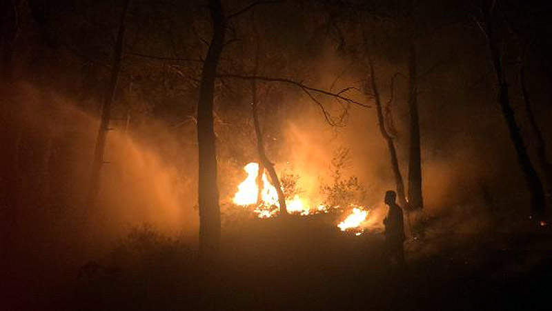 Bursa’da korkutan yangın Bursa’da korkutan yangın