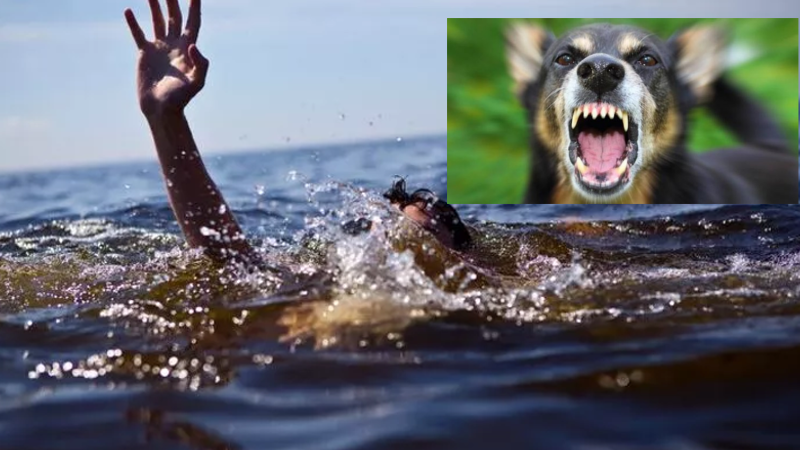 Köpeğin saldırısından kurtulmak için atladığı denizde boğuldu