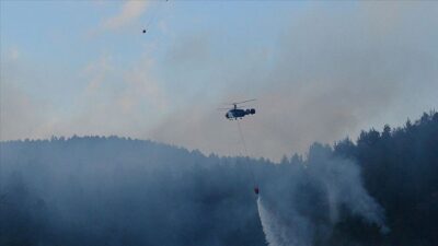 Çanakkale’deki orman yangını kontrol altına alındı
