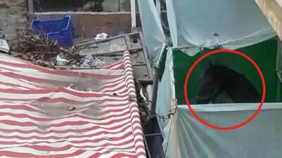 Yer: Bursa… Görenler şaşkına döndü