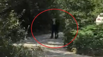 Yer: Bursa… 40 saat sonra bulundu! İki kişiyi hastanelik etti