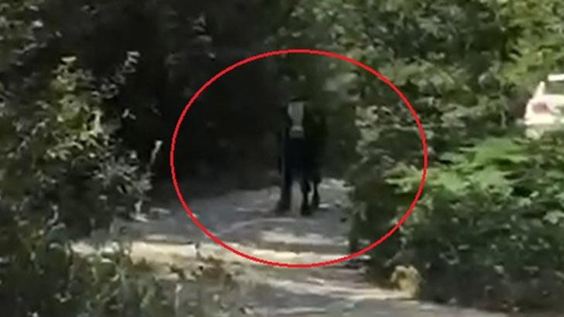 Yer: Bursa… 40 saat sonra bulundu! İki kişiyi hastanelik etti Yer: Bursa… 40 saat sonra bulundu! İki kişiyi hastanelik etti