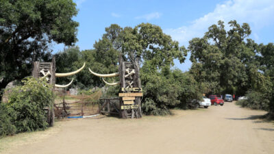 Bursa’daki doğa harikasında ‘izole tatil’ keyfi