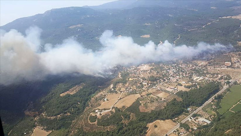 İzmir Menderes’te orman yangını