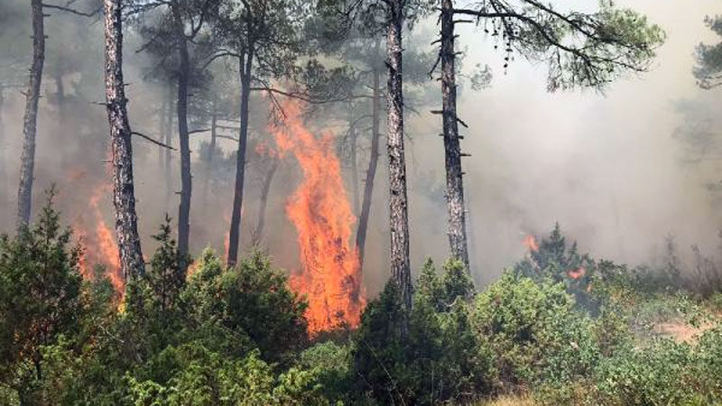 Bursanın Orhaneli ilçesi Karıncalı mevkisinde çıkan orman yangını, ekiplerin 2
